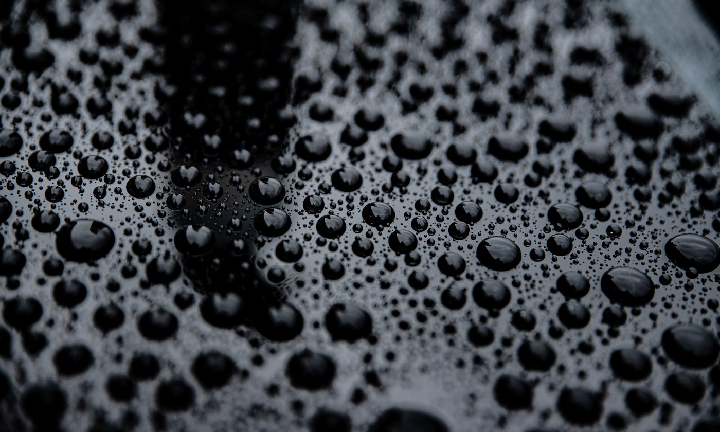 Glossy, clean car paint after detailing